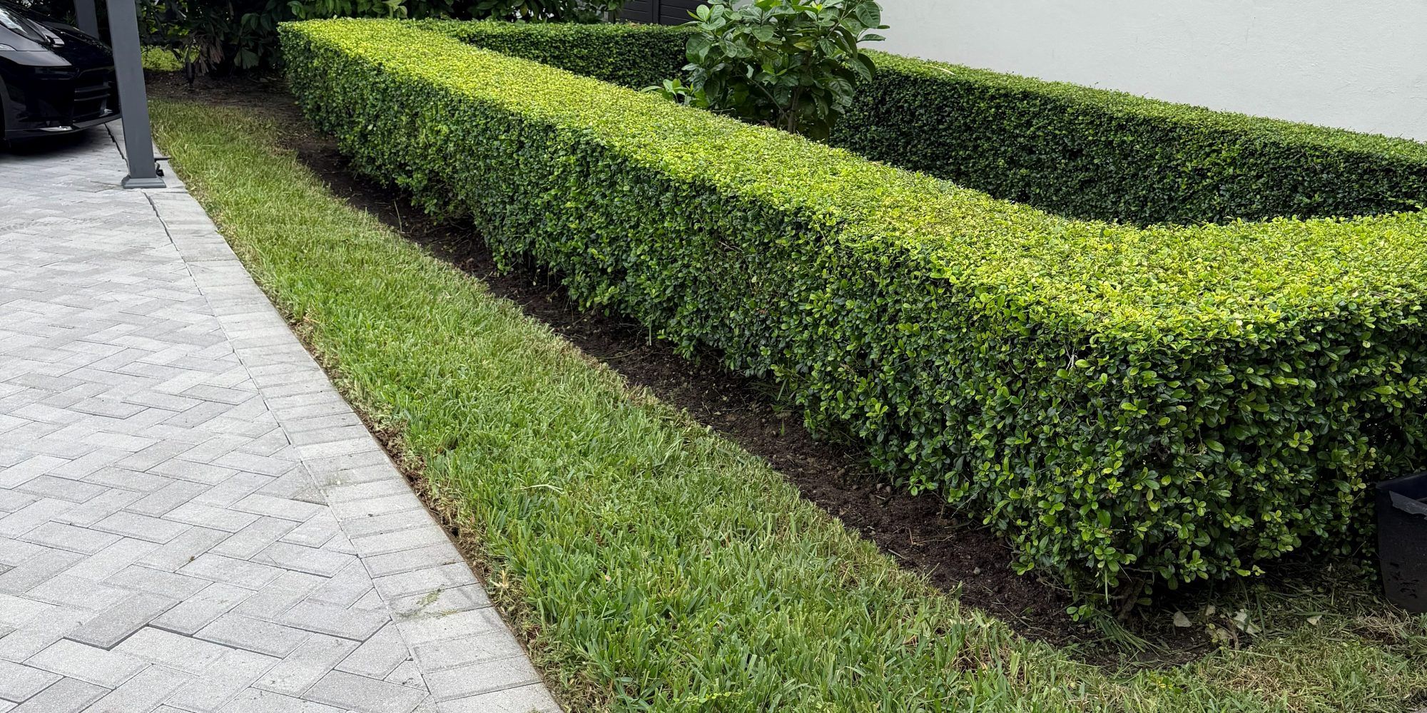 Freshly trimmed hedge and edged lawn beside a paver driveway