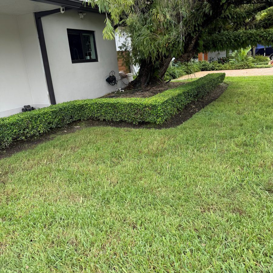 Wide green lawn beside a neatly trimmed hedge
